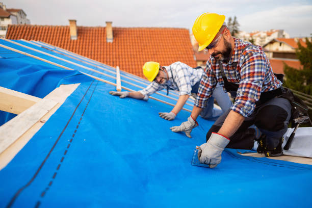 Best Commercial Roofing Services  in Crainvle, IL
