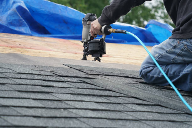 Best Metal Roofing Installation  in Crainvle, IL